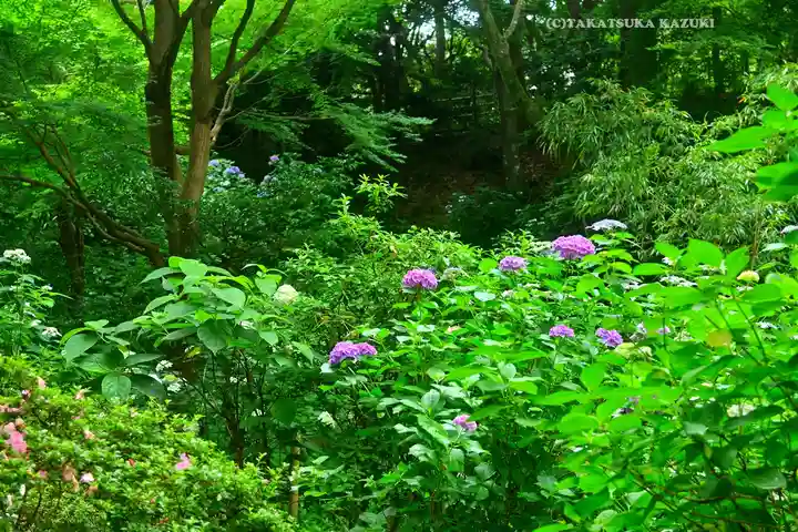 浄智寺(神奈川県)