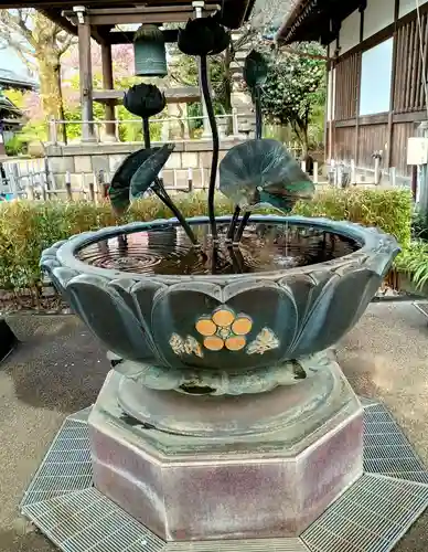 新井薬師（梅照院）(東京都)