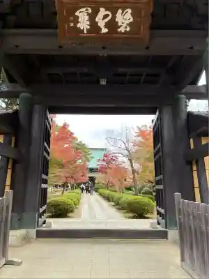 豪徳寺(東京都)