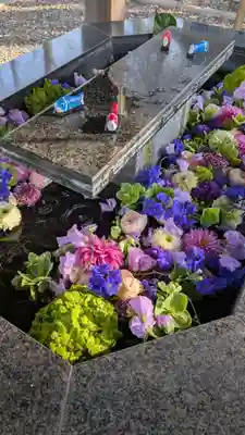 新琴似神社(北海道)