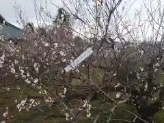 瑞雲寺の自然