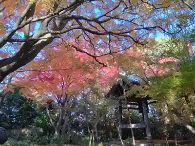 龍尾寺(大阪府)