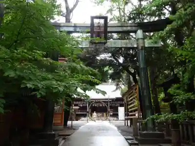 平塚八幡宮の鳥居