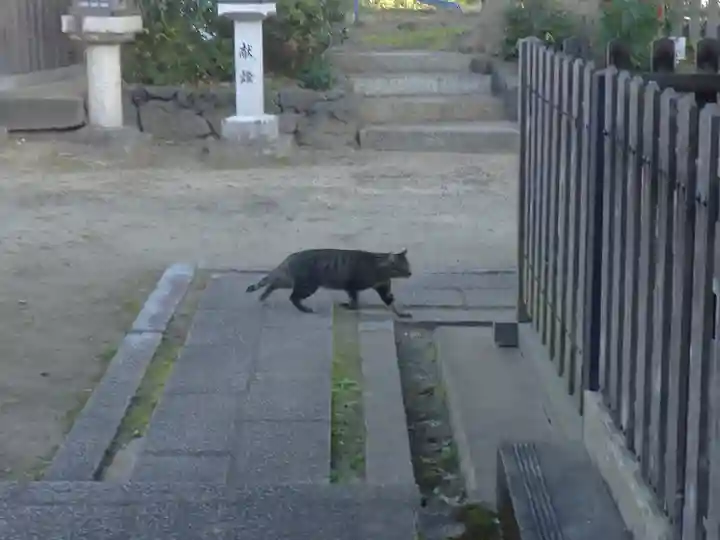 角宮神社の動物