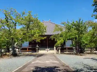 教信寺の本殿・本堂