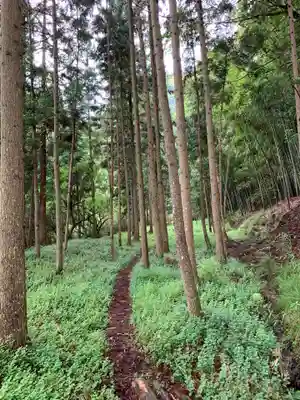 山神水神社の周辺