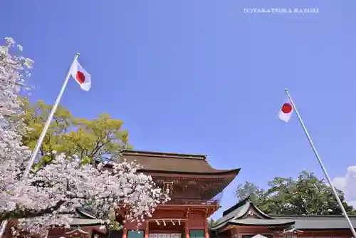 富士山本宮浅間大社(静岡県)