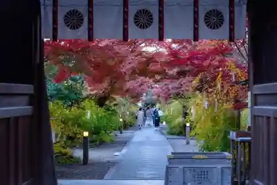 梨木神社(京都府)