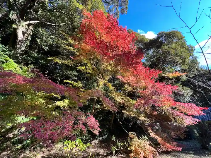 弘川寺(大阪府)