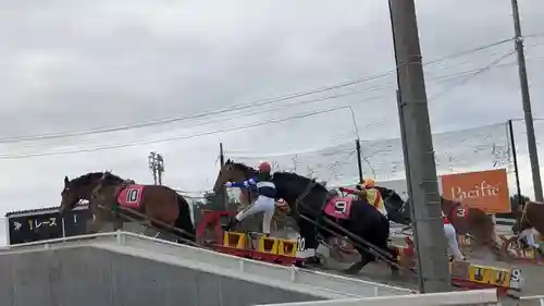 十勝輓馬神社の動物