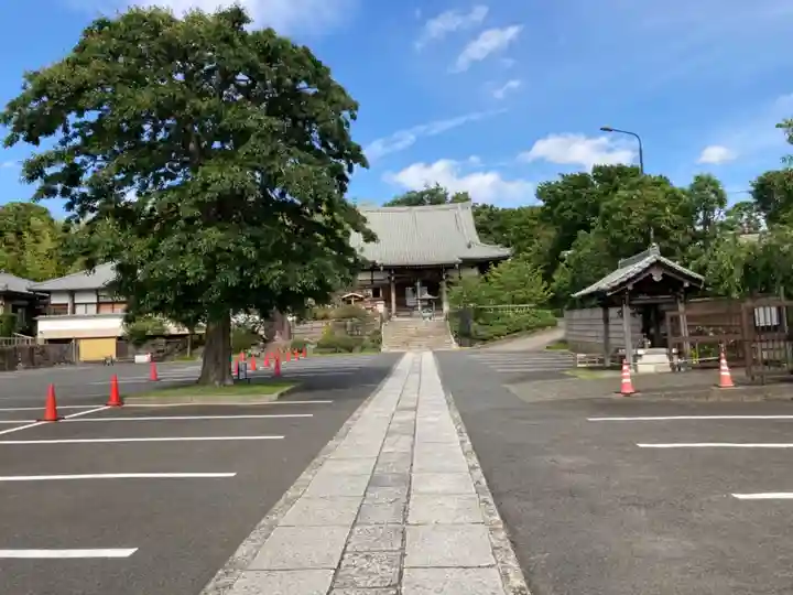 妙蓮寺(神奈川県)