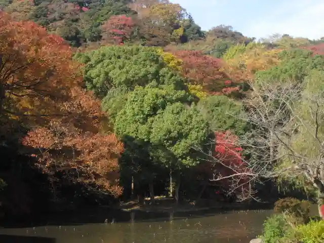 鶴岡八幡宮の自然
