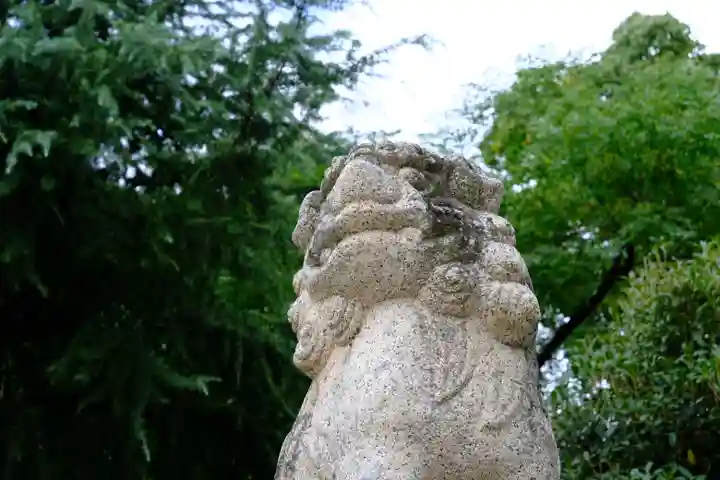 和泉國一之宮 大鳥大社の狛犬