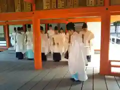 厳島神社のお祭り