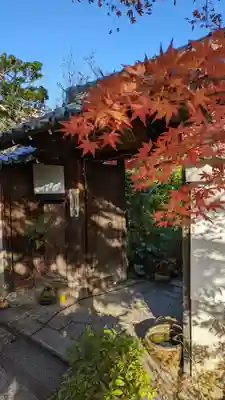 妙蓮寺(京都府)