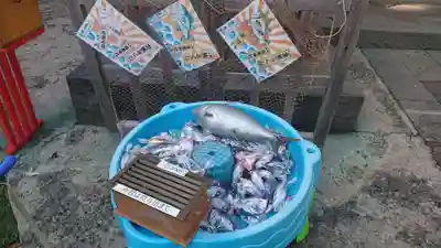 海南神社のおみくじ