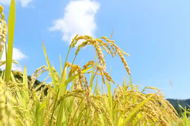 金蛇水神社(宮城県)