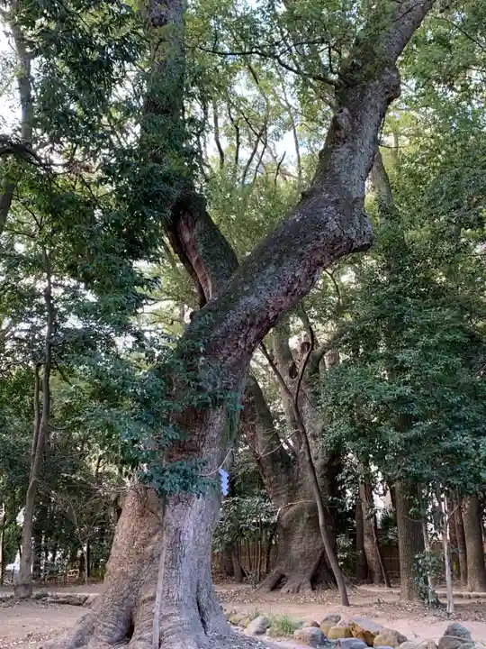 生田神社(兵庫県)
