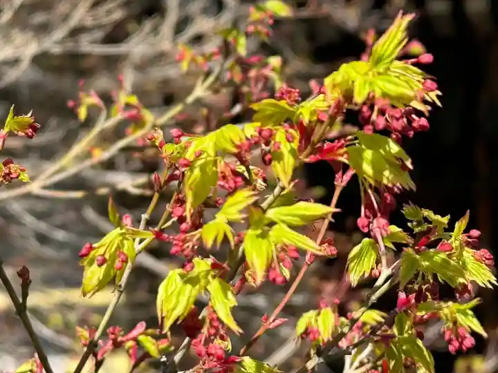 伊勢の国 四天王寺(三重県)