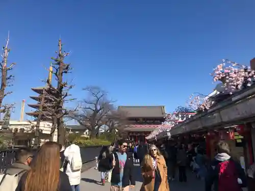 浅草寺(東京都)