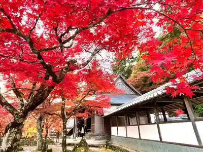 永源寺(滋賀県)
