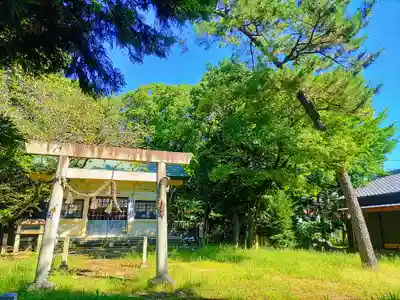 神明社（西堀江神明社）の自然