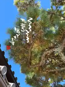 松本山 地福禅寺(滋賀県)(2021年11月16日(火) 15時28分44秒投稿)