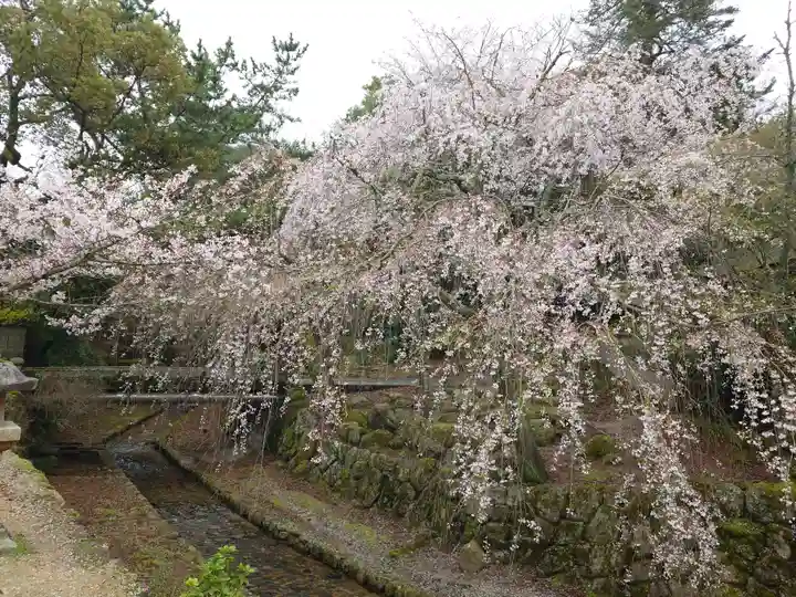 厳島神社(広島県)