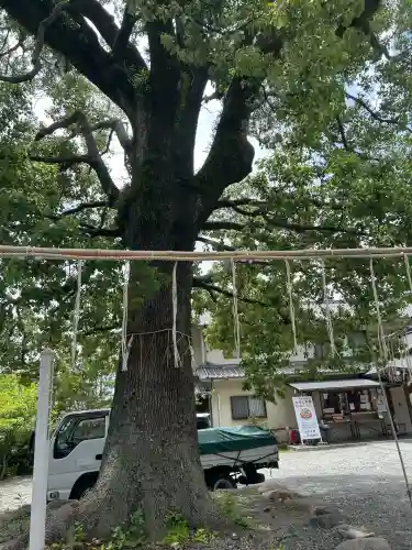 呉服神社(大阪府)