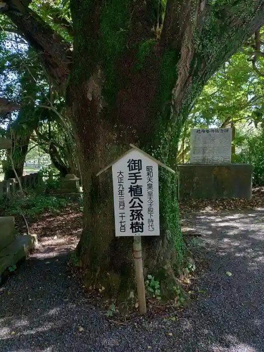 神柱宮(宮崎県)