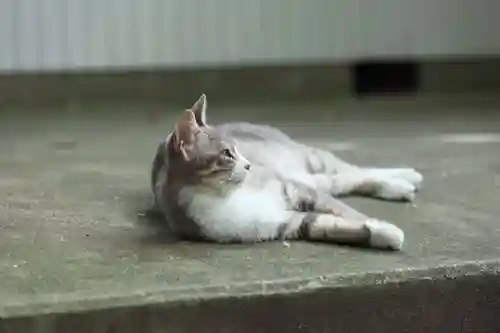 玉野御嶽神社(愛知県)
