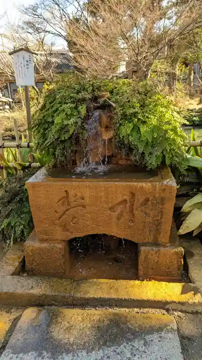 瀧泉寺(目黒不動尊)(東京都)