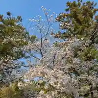 伊勢の国 四天王寺(三重県)