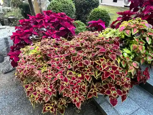 立志神社(滋賀県)