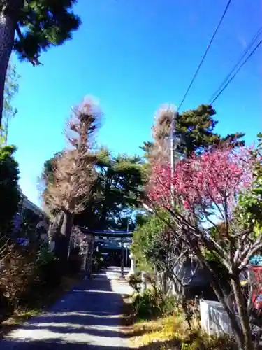 田端神社(東京都)