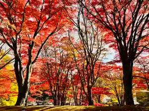 土津神社|こどもと出世の神さまの自然(2021年11月04日(木) 15時36分40秒投稿)