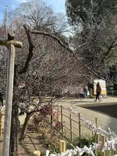五條天神社(東京都)