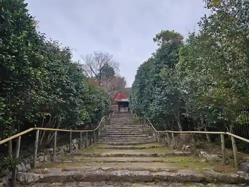 白毫寺(奈良県)