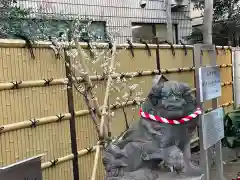 高円寺氷川神社の狛犬