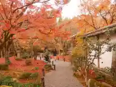 圓光寺の自然