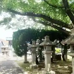 秋葉神社の自然