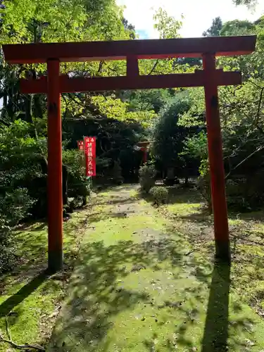 金剛證寺の鳥居