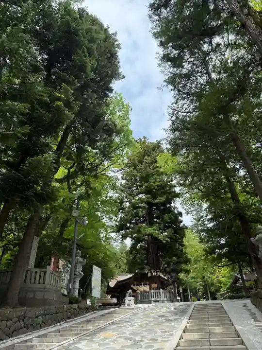 諏訪大社下社秋宮(長野県)