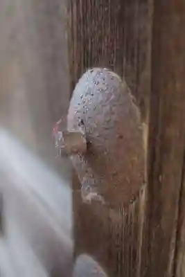 鳥飼八幡宮のその他建物