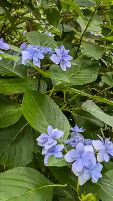 十輪寺(京都府)
