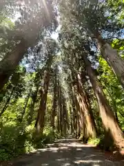 戸隠神社奥社(長野県)