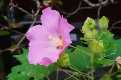 養徳院(京都府)