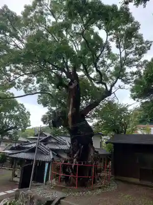 土肥神社(静岡県)