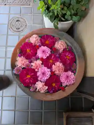 心行寺(東京都)