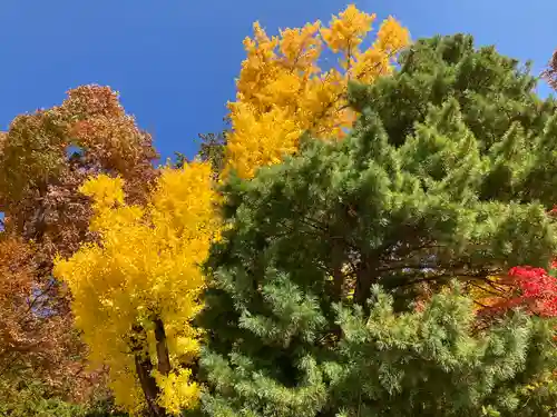 手長神社(長野県)